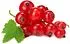 Redcurrant 125g