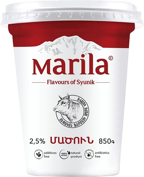 Matsoun "Marila" 850g, richness:2.5%