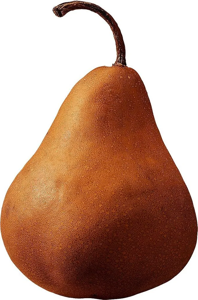 Conference pear 