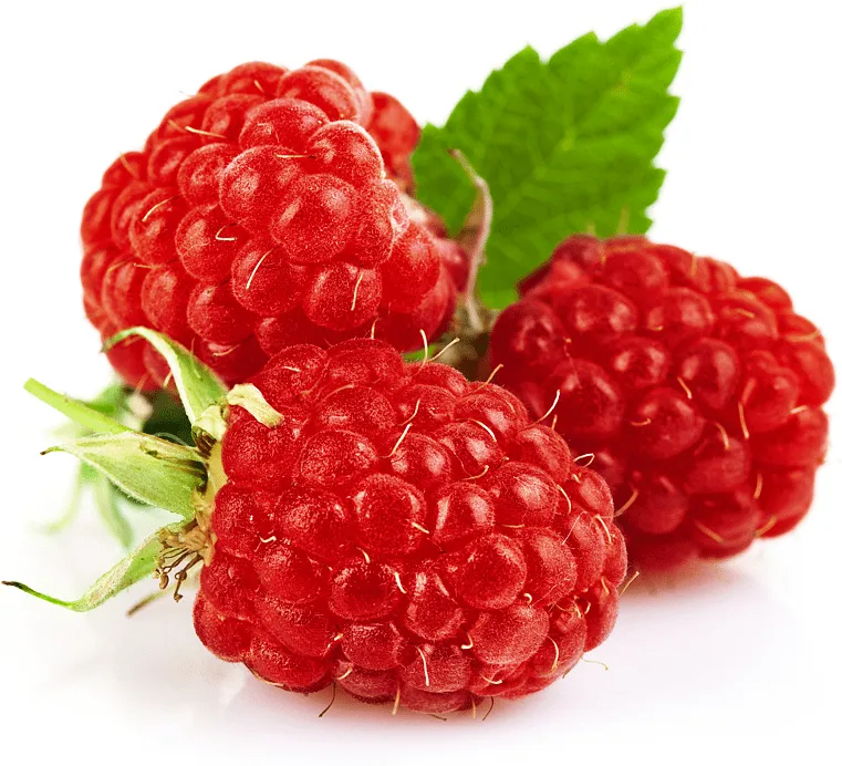 Raspberry