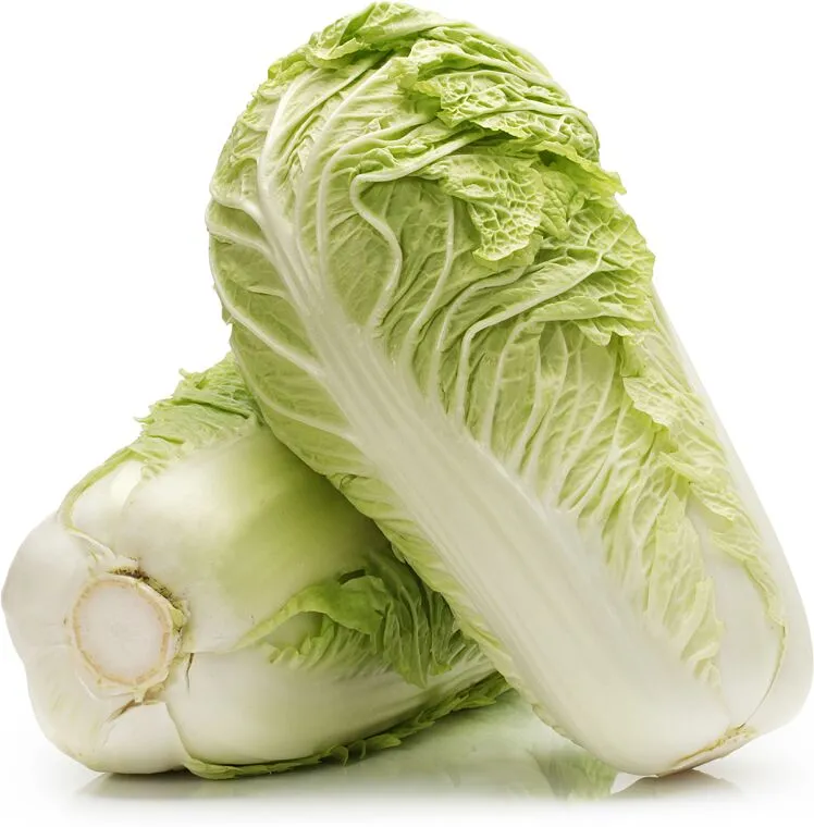 Chinese cabbage