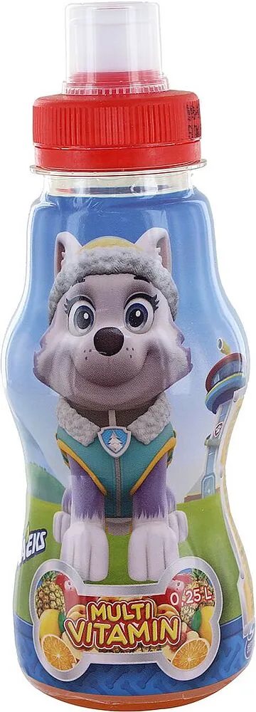 Juice "Paw Patrol" 0.25l Multifruit