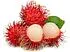 Rambutan