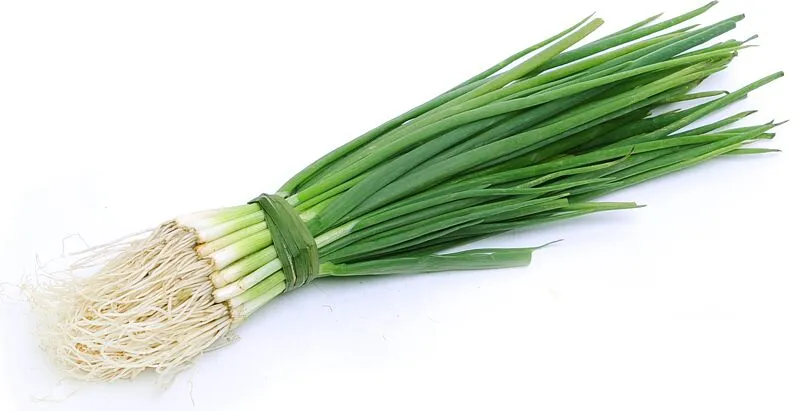 Green onions 