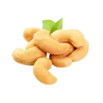 Cashew 