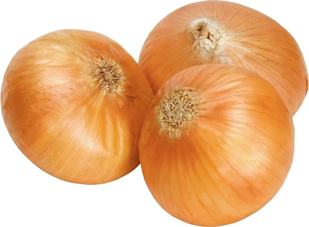 Onion 