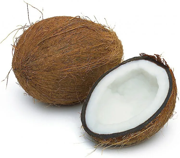 Coconut 