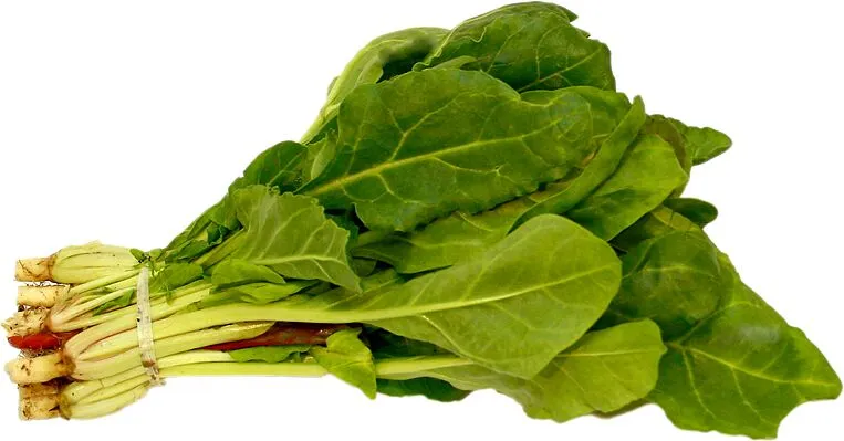 Beet leaves 