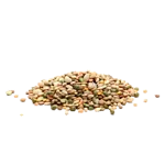 Beans, lentils 
