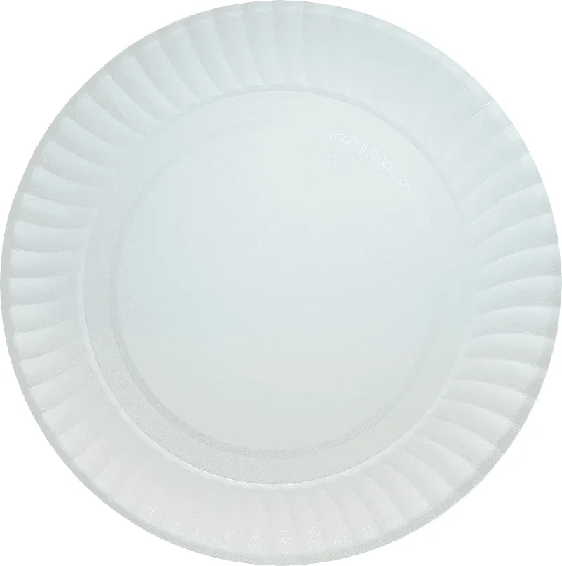 Disposable paper plates 6pcs
