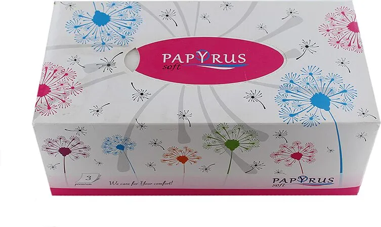 Napkins "Papyrus" 100pcs.