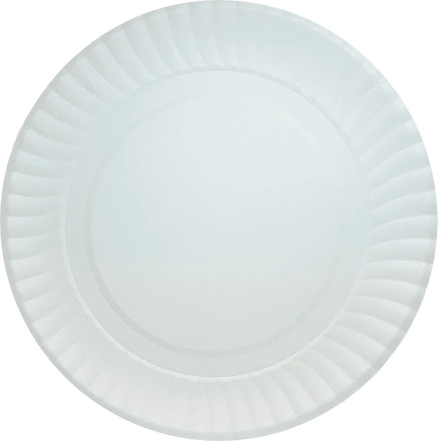 Disposable paper plates 6pcs