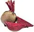 Beet 