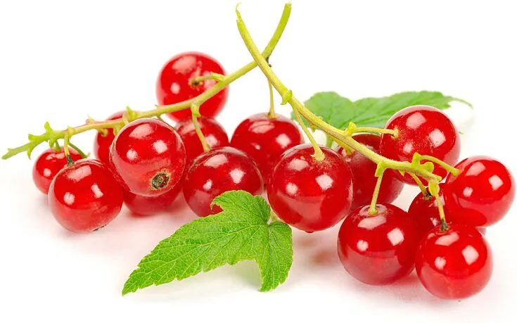 Redcurrant 125g