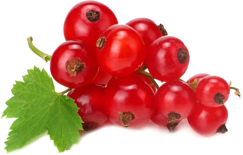 Redcurrant 125g