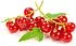 Redcurrant 125g