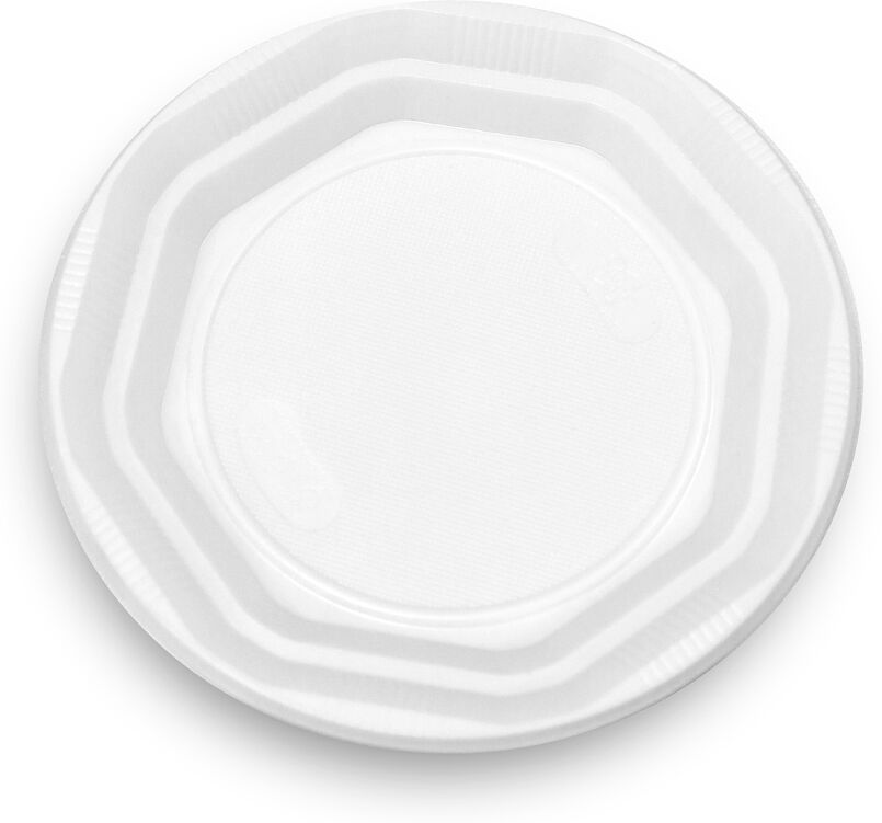 Disposable big plates 6pcs