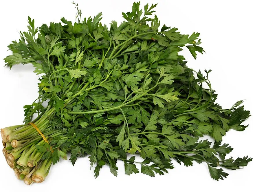 Parsley 