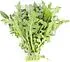 Rucola 125g