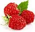 Raspberry